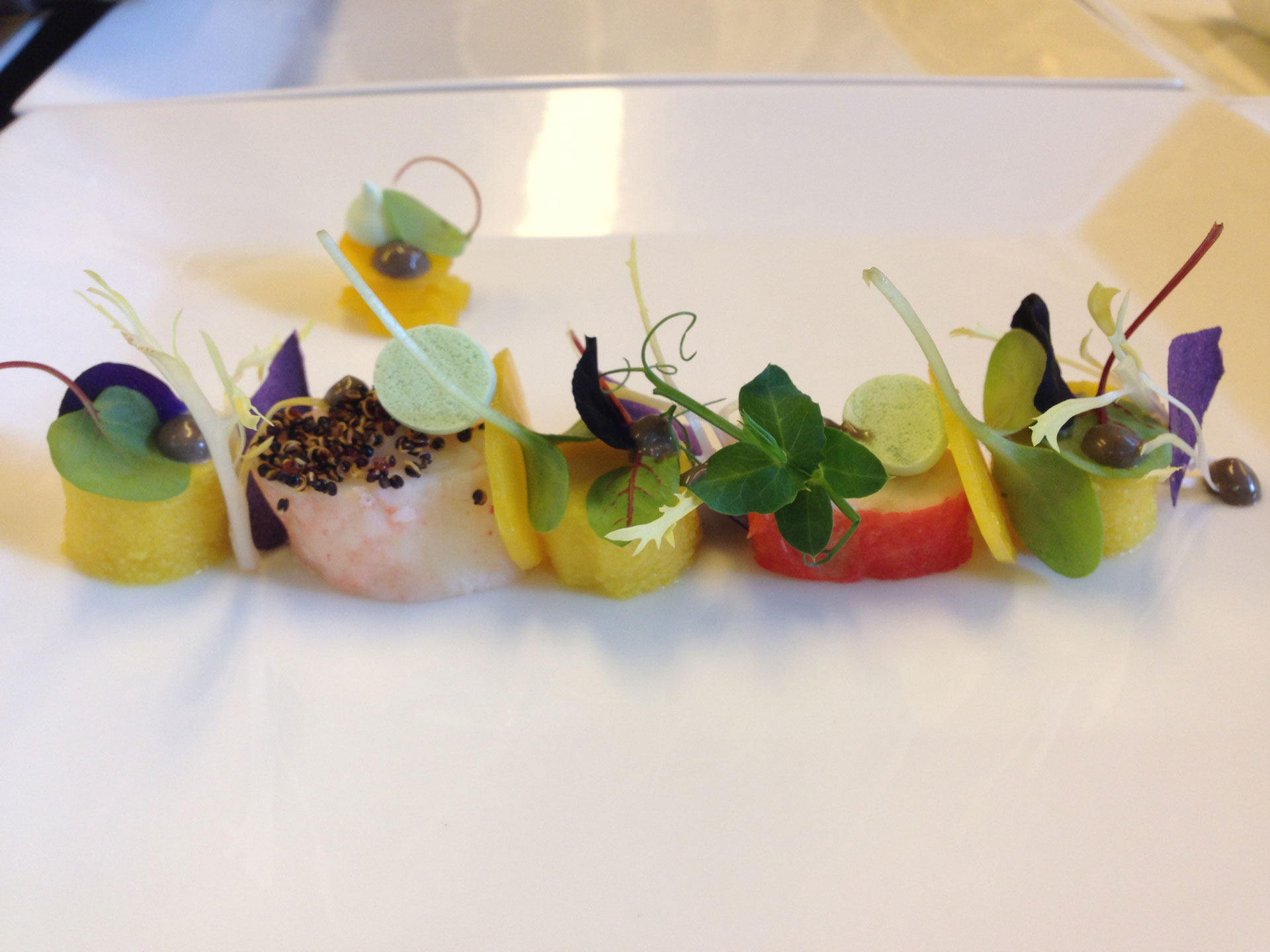 david-food-experience